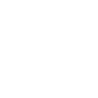 program